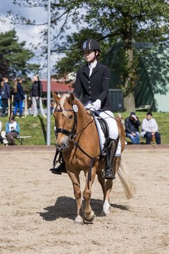 Bild 546 - Pony Akademie Turnier